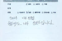 무지외반증 수술/치료후기/환자
