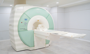 3층 MRI
