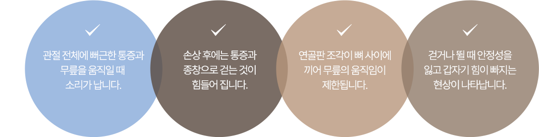 이미지명