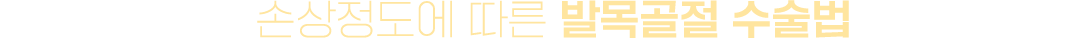 이미지명