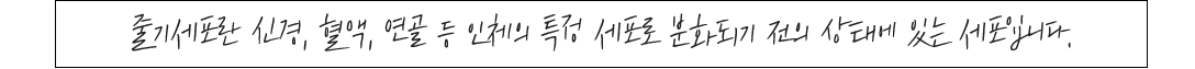 이미지명