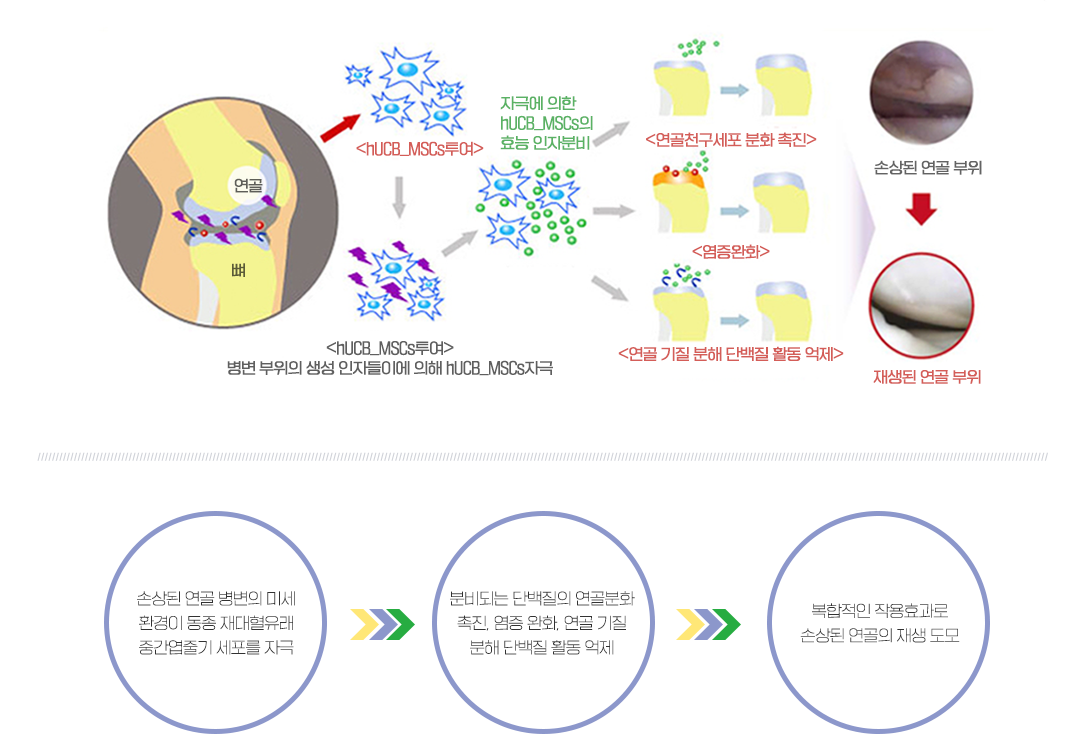 이미지명