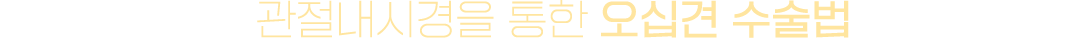 이미지명