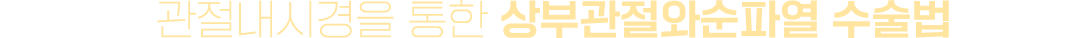 이미지명