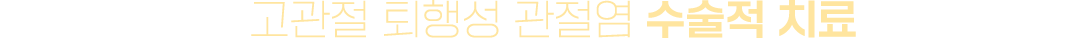 이미지명