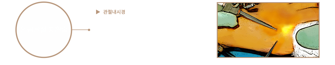 이미지명