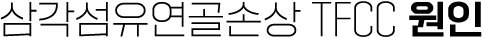 이미지명