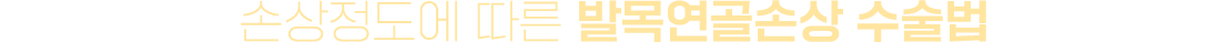 이미지명
