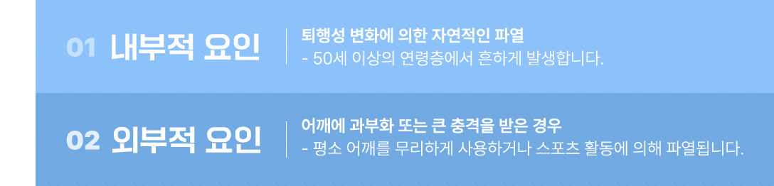 이미지명