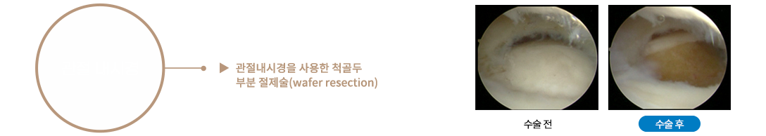 이미지명