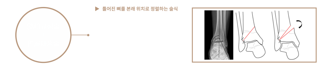이미지명