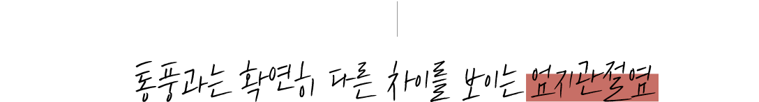 이미지명