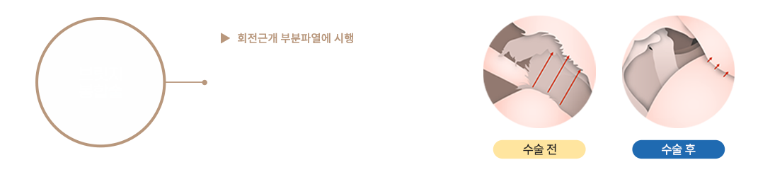 이미지명