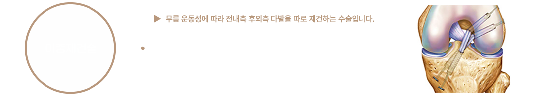이미지명