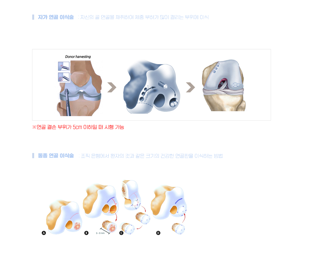 이미지명