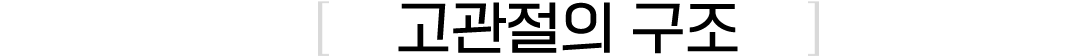 이미지명