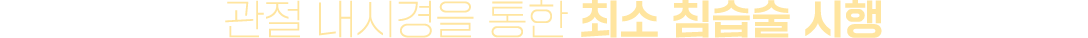 이미지명