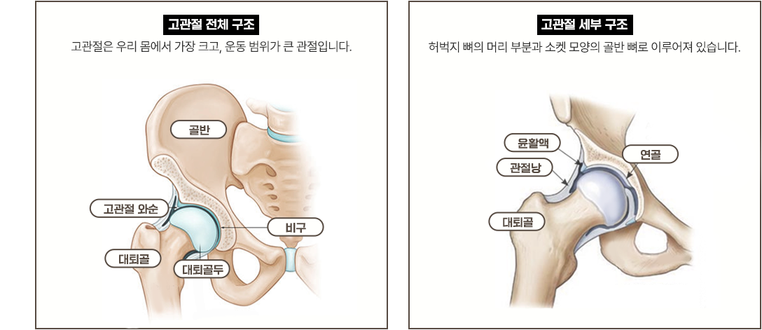 이미지명